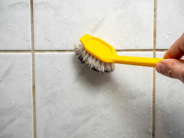 Best Mold Removal Near Me  in Apple Creek, OH