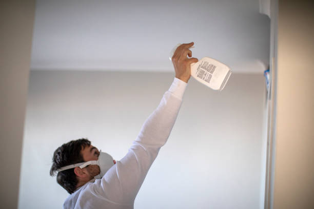 Best Attic Mold Removal  in Apple Creek, OH
