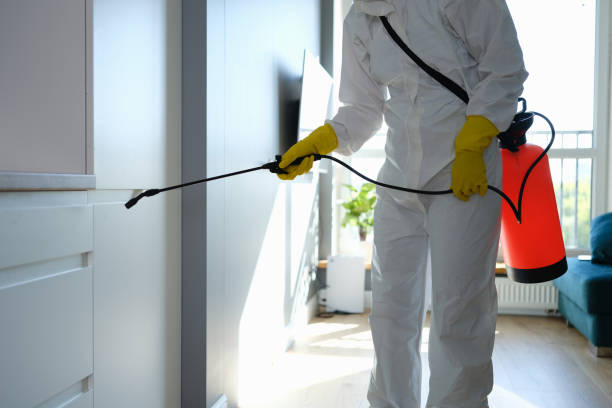Best Toxic Mold Removal  in Apple Creek, OH